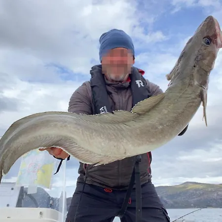 Feriehus Seaside 3-bedroom House *